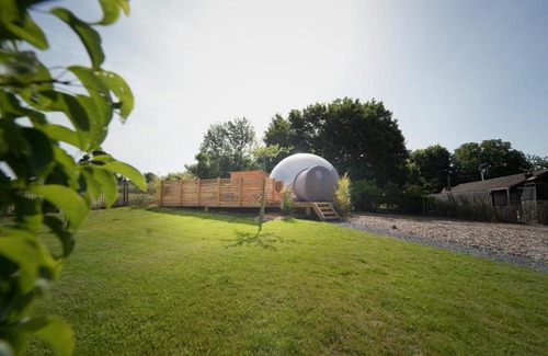 Paliseul Cabin | Bulles Odette & Ginette et Tiny House Suzette "Au guet Marais" Etape Insolite