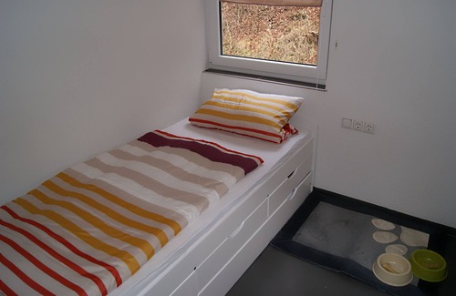 Themar Cabin | Bungalow 2 am Waldhof - feel at home in nature
