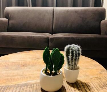 Exloo Apartment | Bungalow 72