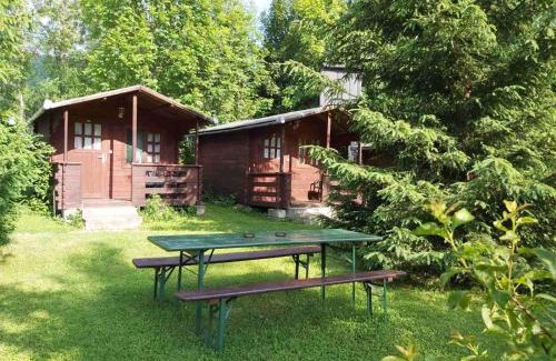 Rimetea Other | Bungalow Camping Edelweiss - Floare de colt - Gyopár