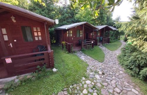 Rimetea Other | Bungalow Camping Edelweiss - Floare de colt - Gyopár