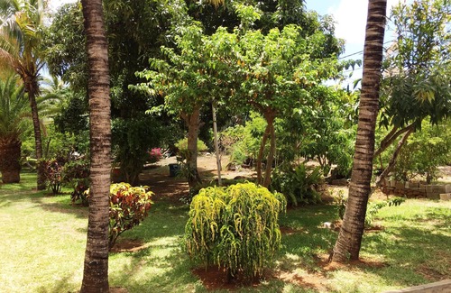 Grand Gaube Villa | Bungalow for families and friends by the sea and pool - by feelluxuryholidays