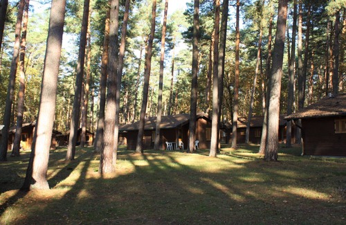 Colbitz House | Bungalow-Superior-Private Bathroom-Doppel-Bungalow