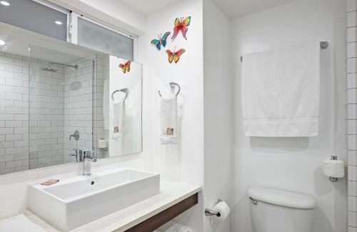 Oistins Hotel | Butterfly Beach Hotel