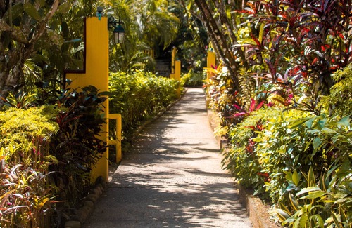 El Cerro Condo | Butterfly Condo near beaches and downtown, surrounded by nature