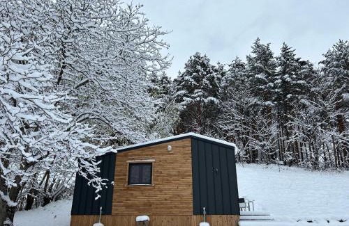 Piatra Neamt Other | Cãsuța de sub nuc