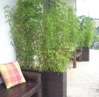 Ripatransone House | C'era Una Volta