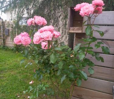 Pessac House | C La Belle Vie