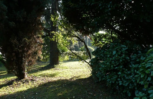 Mogliano Veneto Apartment | CA '3 ARCHI Family Apartment: Lovely for relaxing 20 minutes away from Venice!