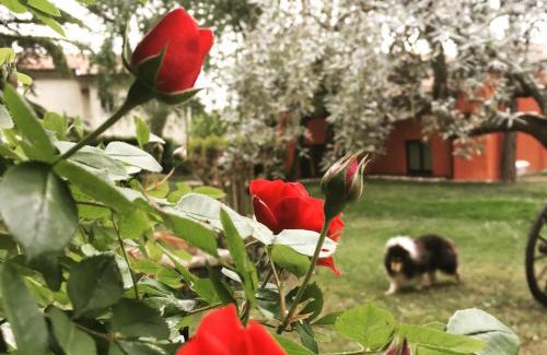 Angarano House | Ca' Boschetto