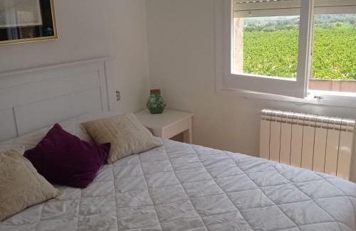 San Martin Sarroca Apartment | Ca La Montserrat - Wine Rural House