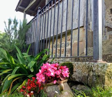 Selaya House | Cabaña Pasiega Única