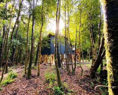 Conaripe House | Cabañas Los Glaciares