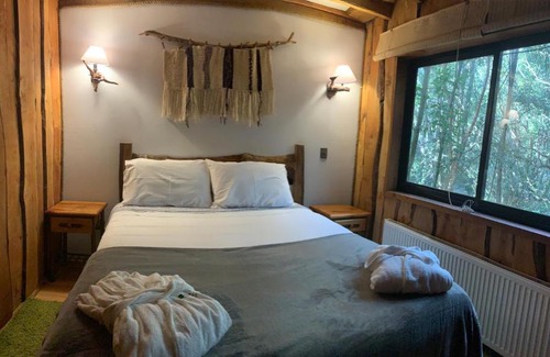 Pucon Cabin | Cabañas Natural Park Lodge Pucón