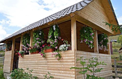 Vartop House | Cabana Ada 2