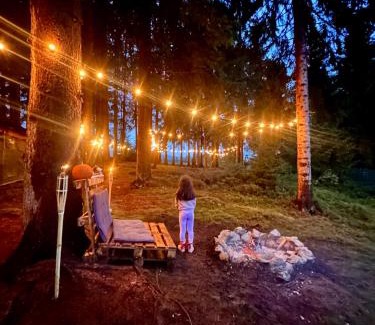 Marisel Other | Cabana Apuseni N&D