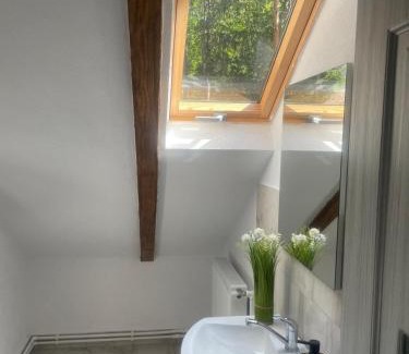 Calimanesti Cabin | Cabana Cascada Lotrisor