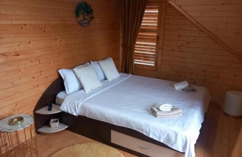 Panaci House | Cabana Dani