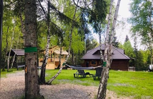 Calatele House | Cabana din padurea Belis si casuta din copac