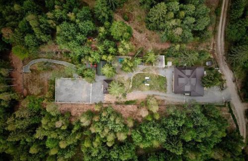 Calatele House | Cabana din padurea Belis si casuta din copac