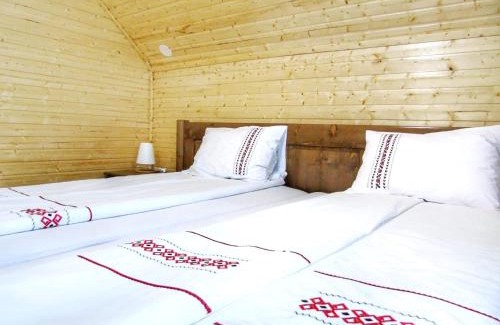 Vidra House | Cabana Dintre Munti