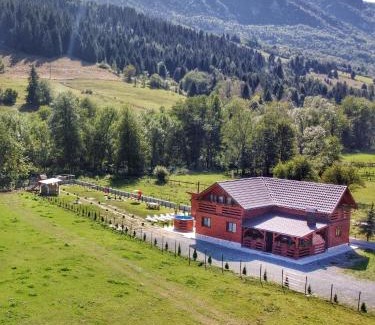 Vidra House | Cabana Dintre Munti