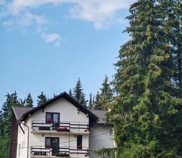 Vartop Cabin | CABANA FRAM VÂRTOP