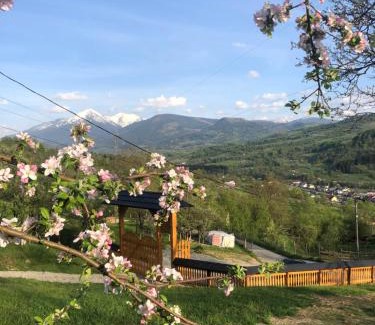 Moisei Cabin | Cabana HATERE