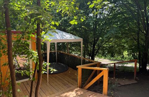 Tarcau Cabin | Cabana lucia