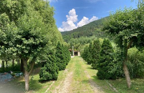 Taga House | Cabana lui Banică
