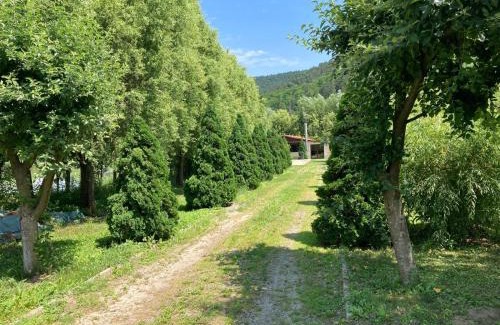Taga House | Cabana lui Banică