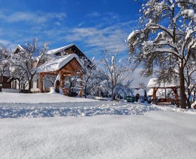Moisei House | Cabana Maramures Landscape