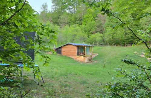 Baile Olanesti Other | Cabana Mura