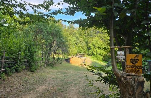 Baile Olanesti Other | Cabana Mura