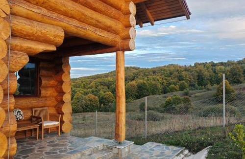 Gura Barbuletului House | Cabana Om Bun