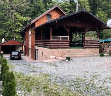 Baisoara Ski Chalet | Cabana Revnic