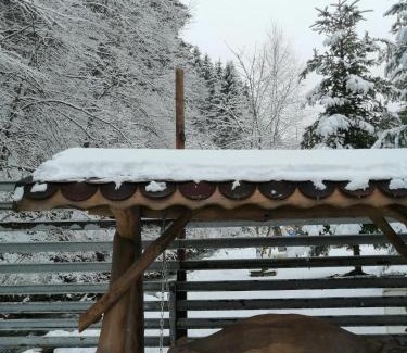 Baisoara Ski Chalet | Cabana Revnic