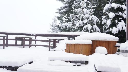 Rausor Cabin | Cabana "Trei Brazi " Retezat