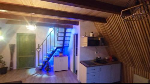 Valiug House | Cabana Vânătorilor A Frame Green