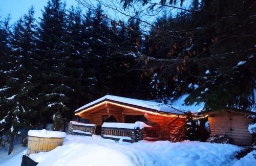 Borsa House | Cabanele silvania 1