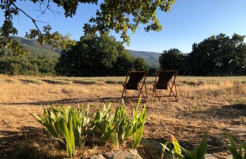 Saignon Cabin | Cabanon du berger