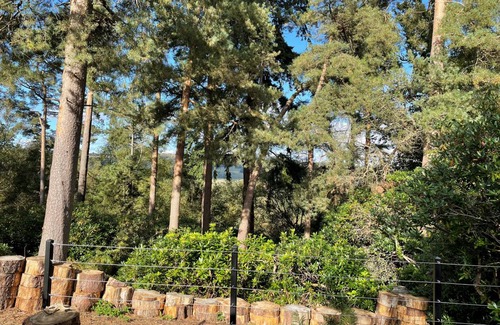Dorking Cottage | Cabin ∙ 1 bedroom ∙ 2 guests