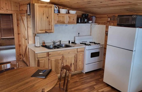 Chetek Apartment | Cabin 2 - Northwoods themed 1 BR, lakefront cabin.