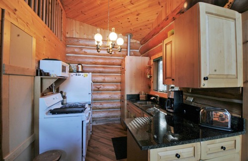 Maple Falls Cabin | Cabin #97 - 'pinecone' Log Cabin at the Lake that is Pet-friendly!