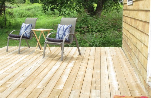 North Kawartha Cabin | Cabin & Forest near Beach