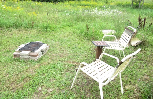 North Kawartha Cabin | Cabin & Forest near Beach