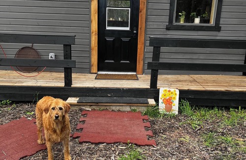 Bragg Creek Cabin | Cabin in the forest between Banff & Calgary Dogs welcome