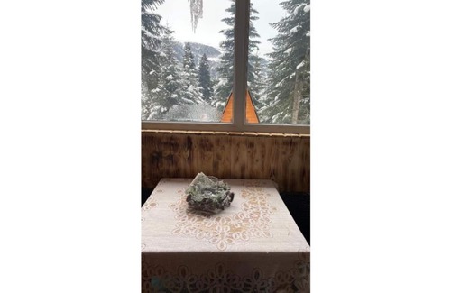 Bagvdanari House | Cabin in the forest, near to ski lift, provide breakfast and dinner