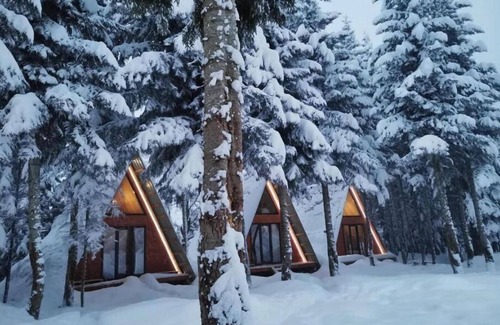 Bagvdanari House | Cabin in the forest, near to ski lift, provide breakfast and dinner