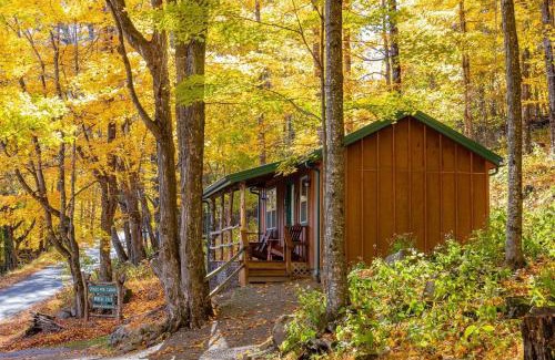 Allegheny Mountains House | Cabin in the woods w/WIFI close to Monongahela National Forest